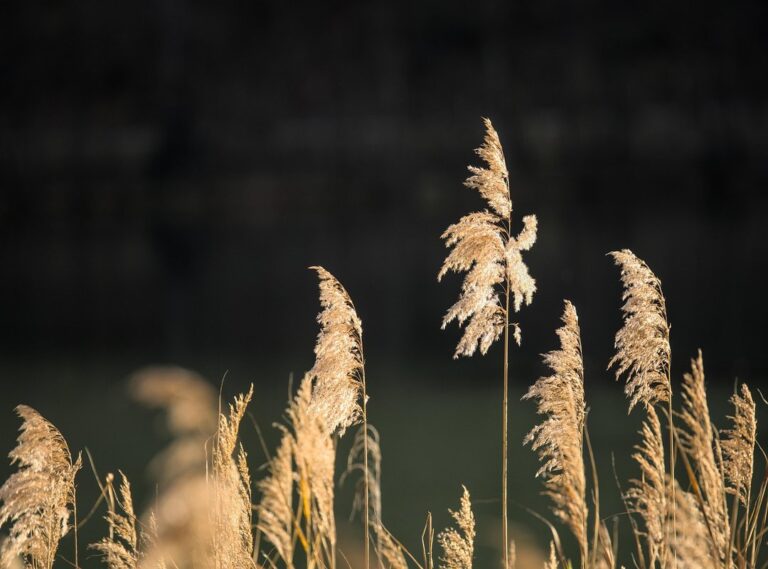 gym susanna reid instagram