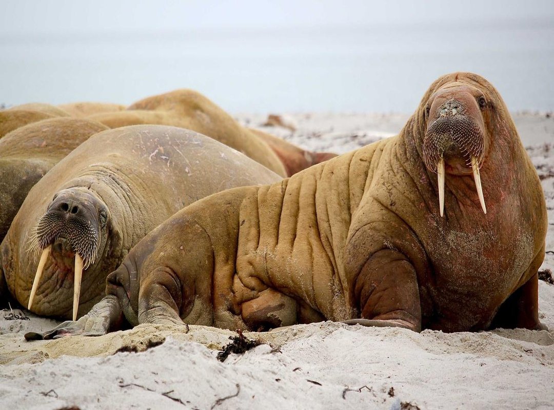 The Real Benefits: Why Members Love This Community