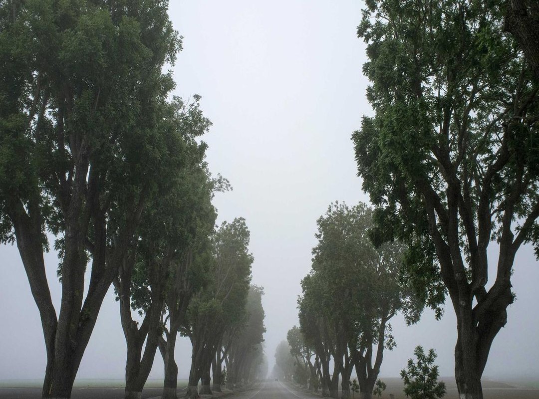 The Battle Beyond the Stars: Crucial Role Player Stats