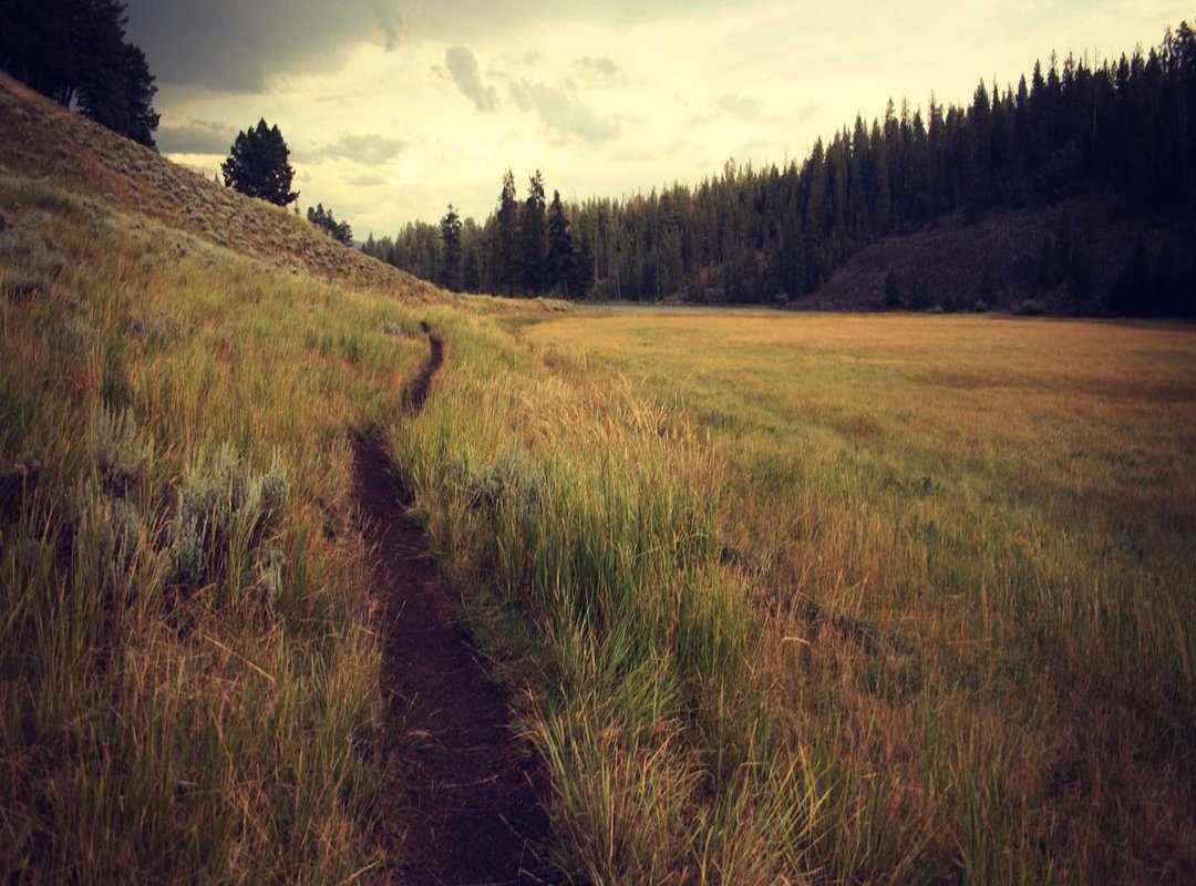 The Hidden Dangers: Critical Risks of Using Third-Party APKs