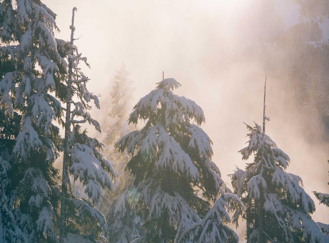 Comparing Provider Models: Which Corporate Massage Service Fits Your Company?