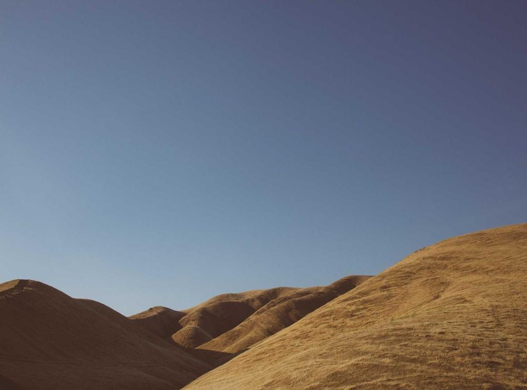 How the File Spread: A Case Study in Pre-Social Media Virality