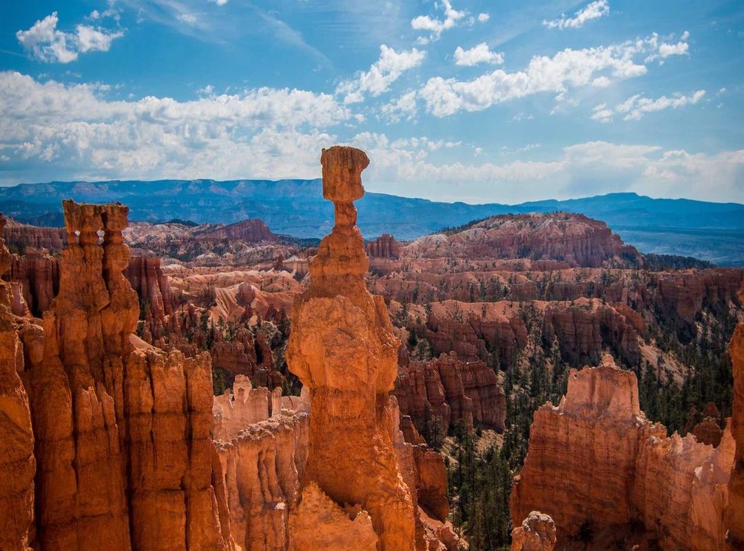 The Big Question: Is Modgila Safe to Use?