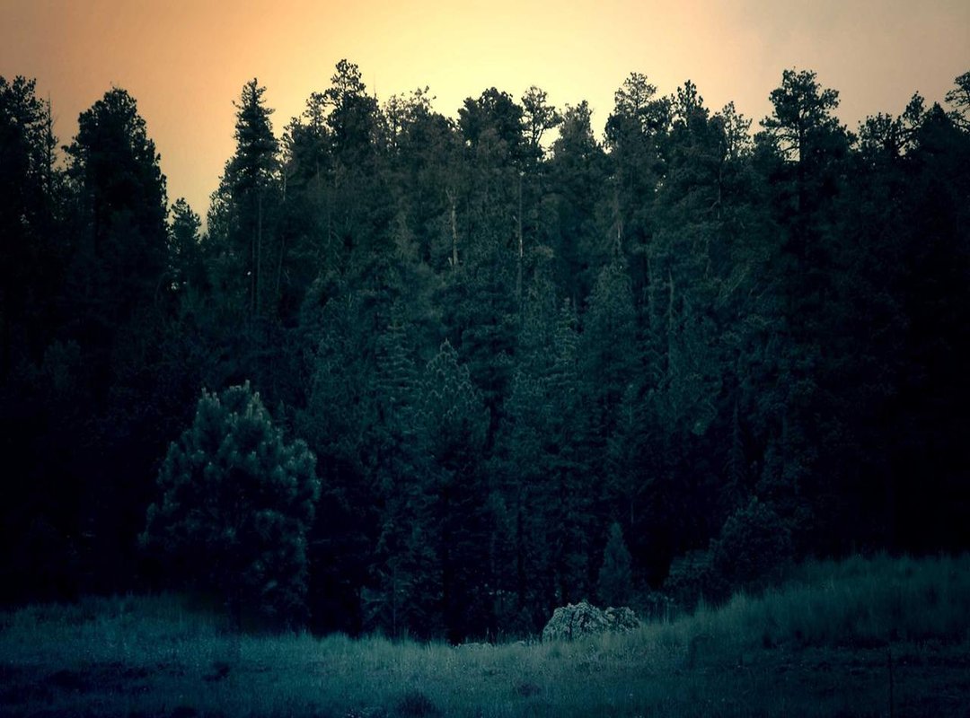 Adding Personality: Faces, Clothes, and Hair