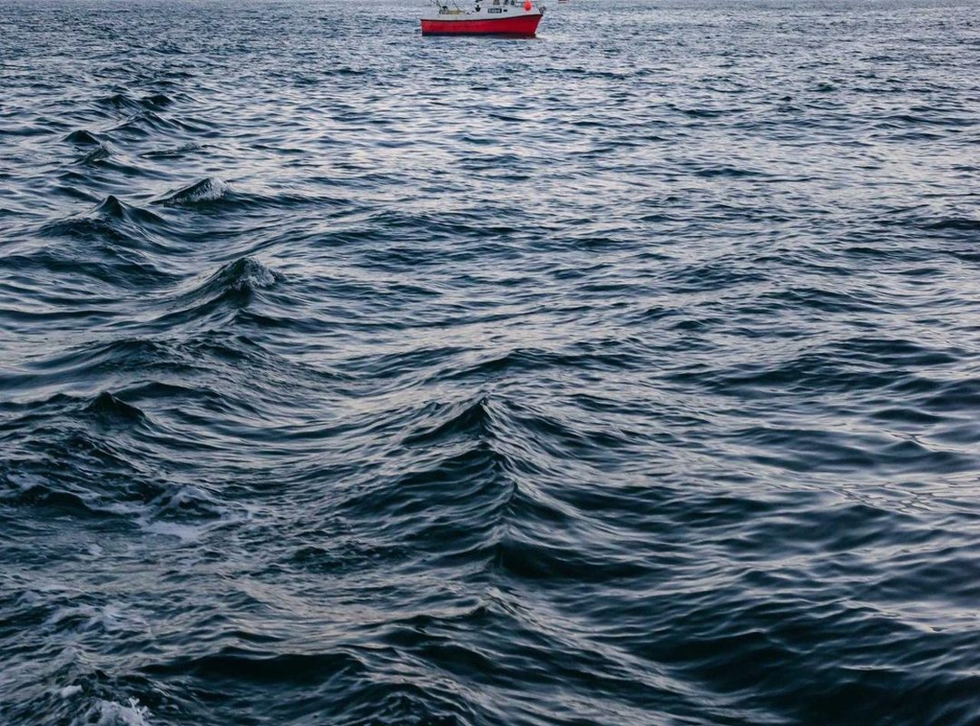 Discovering the Neighborhood: What to See and Do Nearby