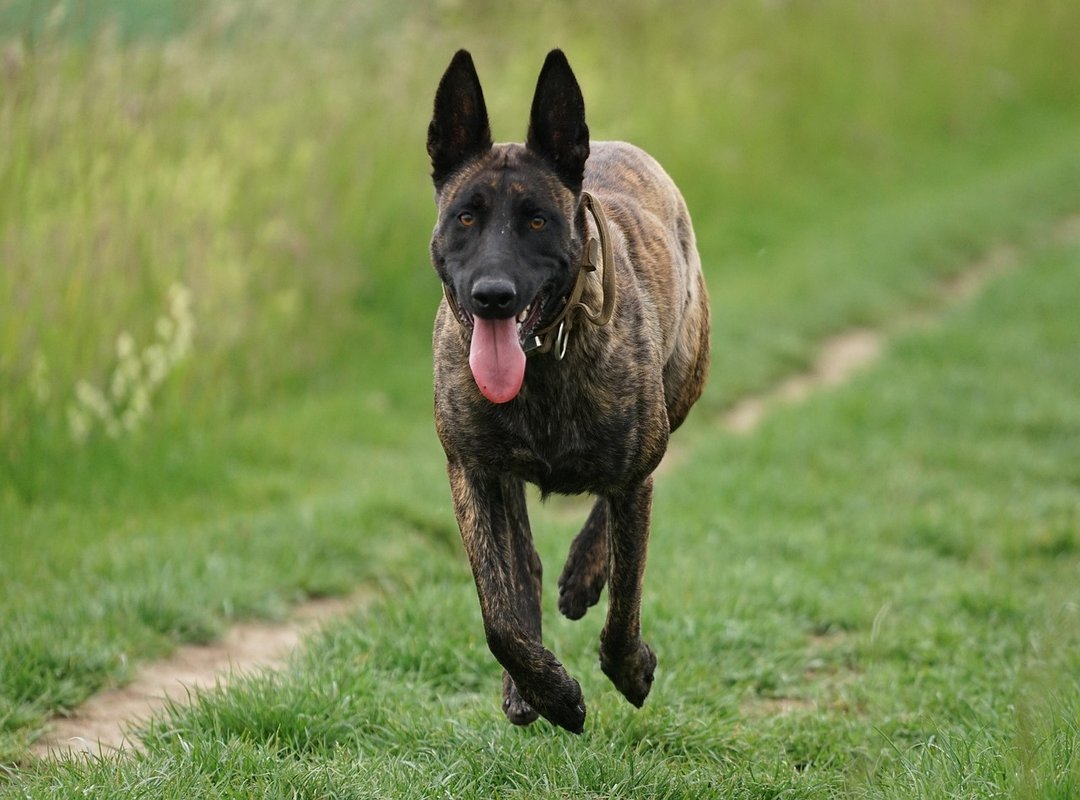 A Quick Guide to Joining and Staying Safe on Telegram