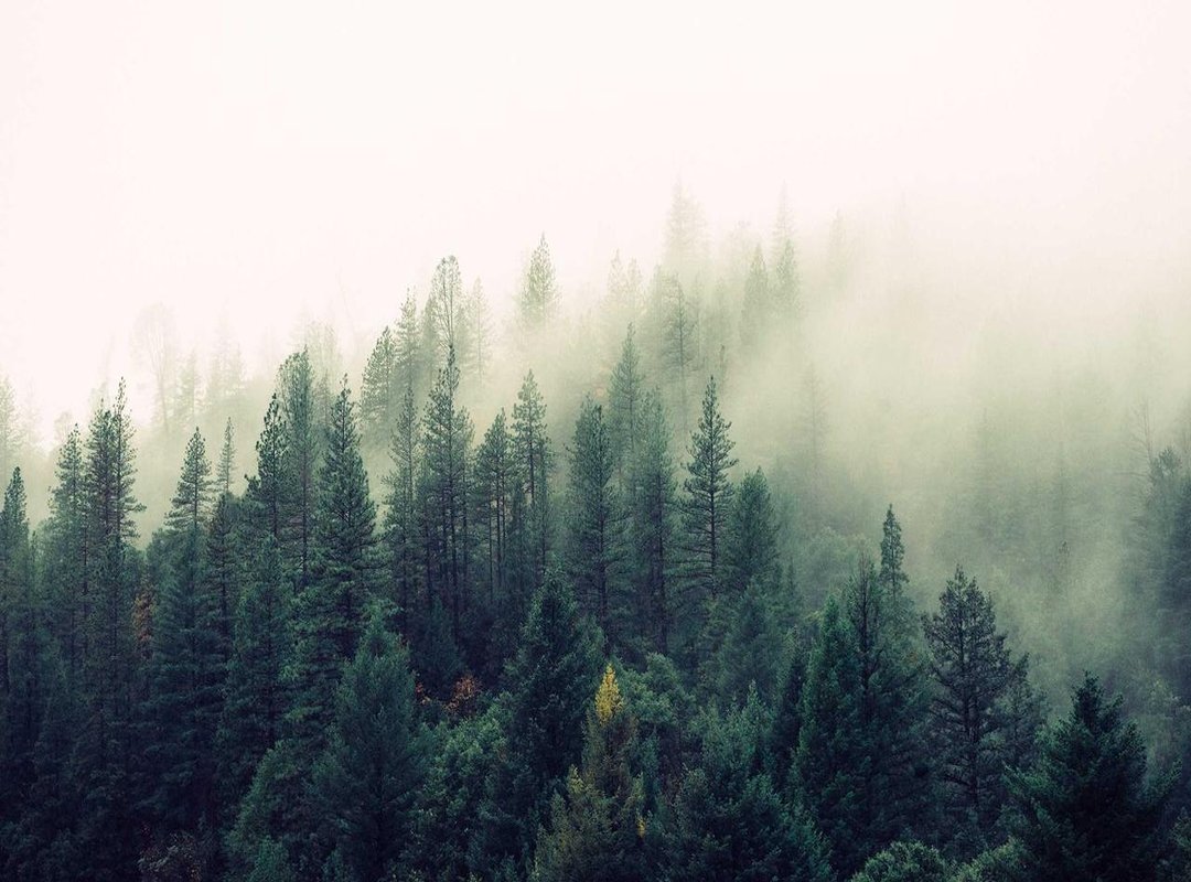 Beyond the Image: Why This Trend is So Popular